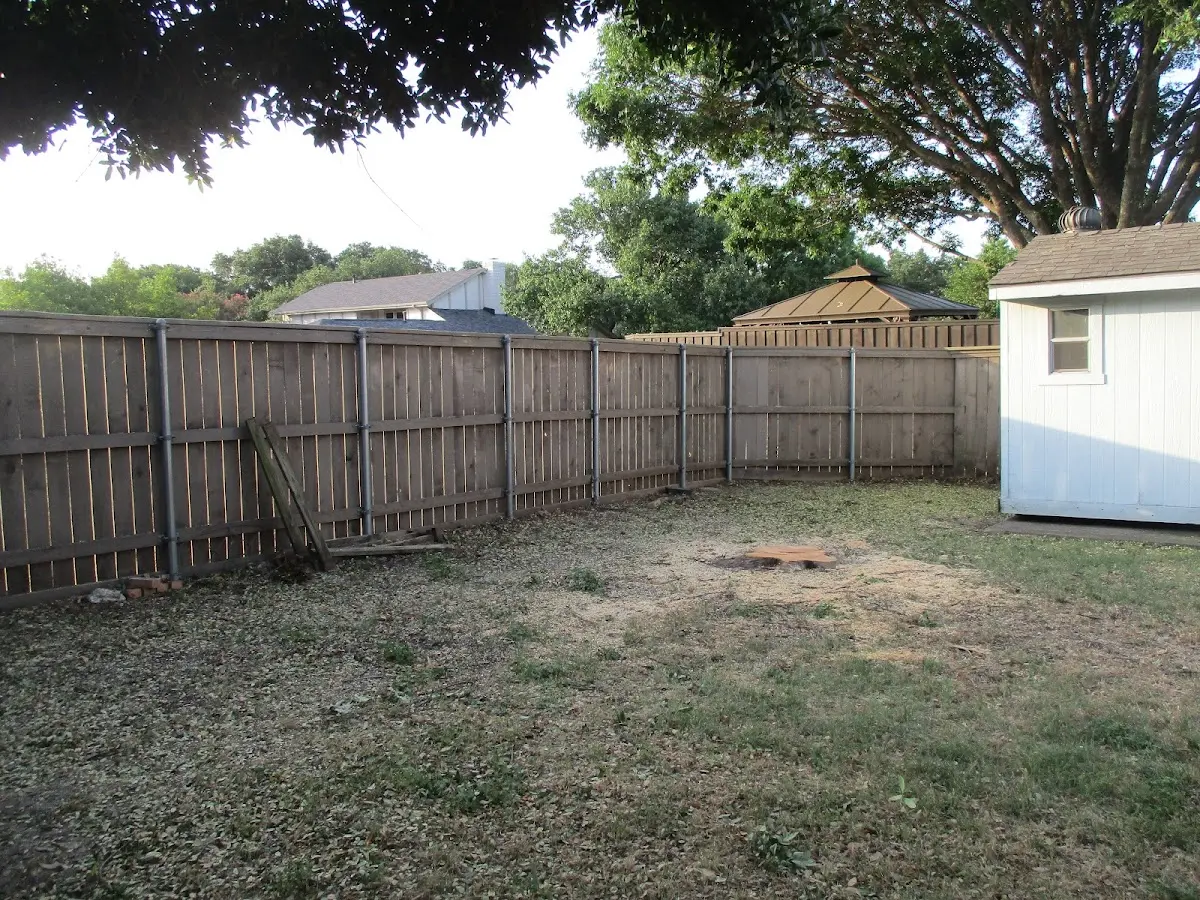 Cleared yard after professional tree removal in Riverside